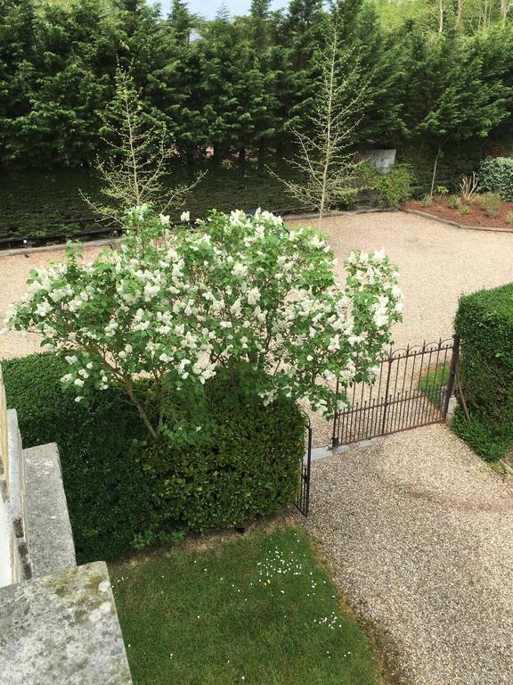 Manoir Le Mesnil Bed & Breakfast Saint-Martin-aux-Chartrains Luaran gambar