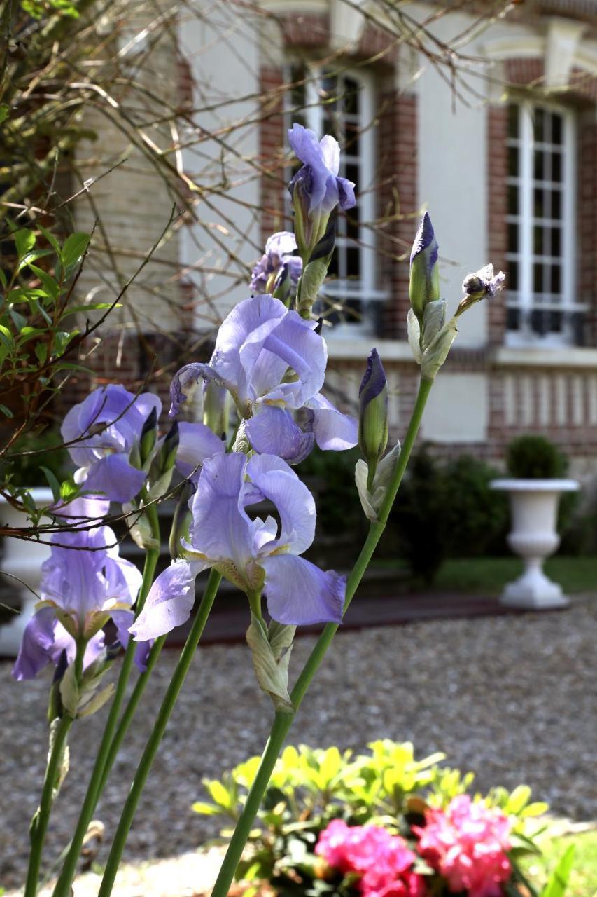 Manoir Le Mesnil Bed & Breakfast Saint-Martin-aux-Chartrains Luaran gambar